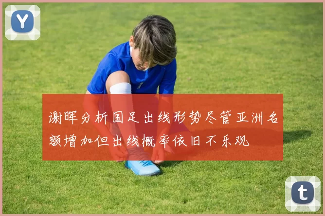 谢晖分析国足出线形势尽管亚洲名额增加但出线概率依旧不乐观